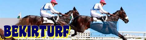 bekirturf|BEKIRTURF : Accueil.